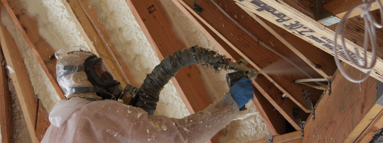 Georgia Attic Insulation Spray Foam Georgia Attic Insulation Spray Foam